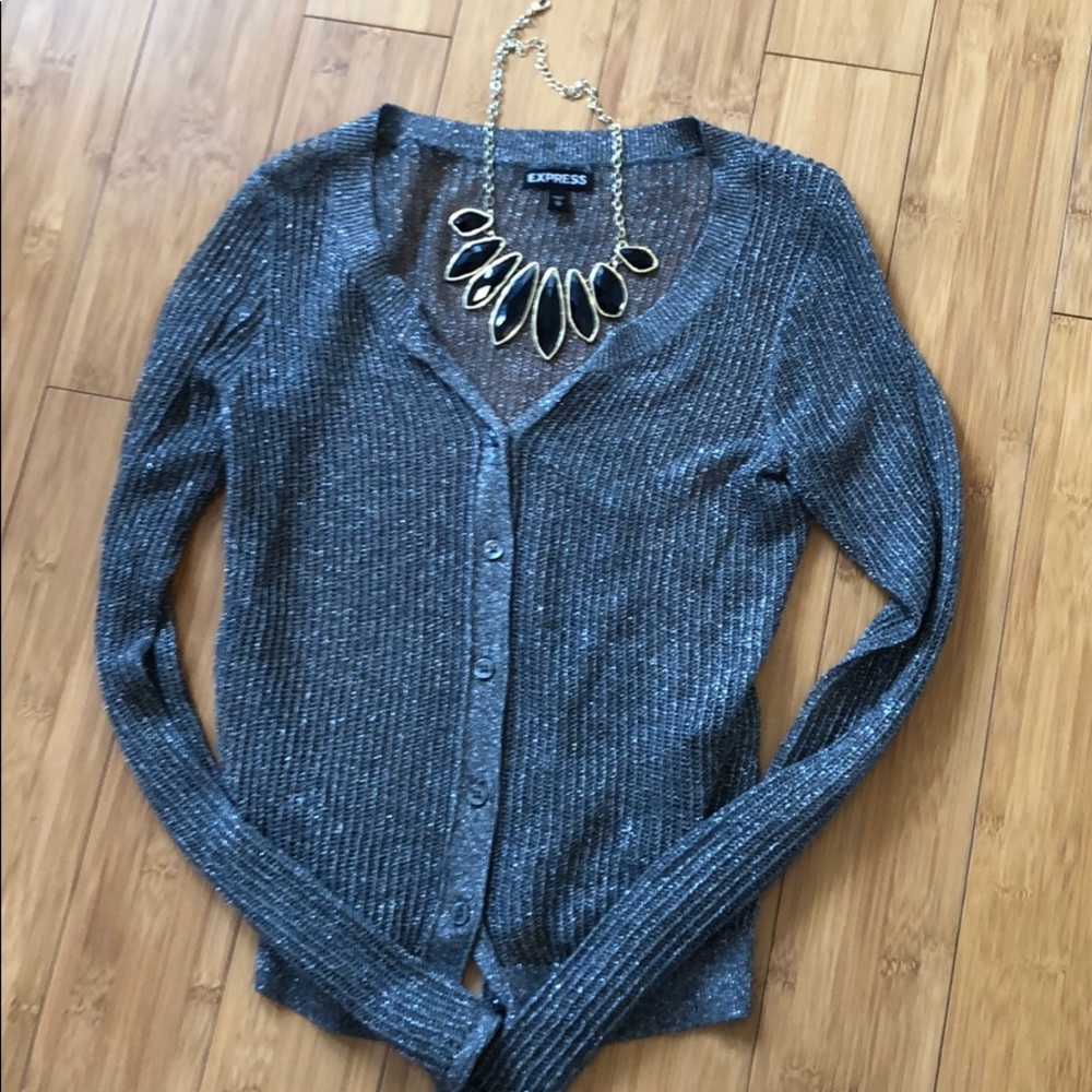 Express silver/gray mesh cardigan🐘🐘